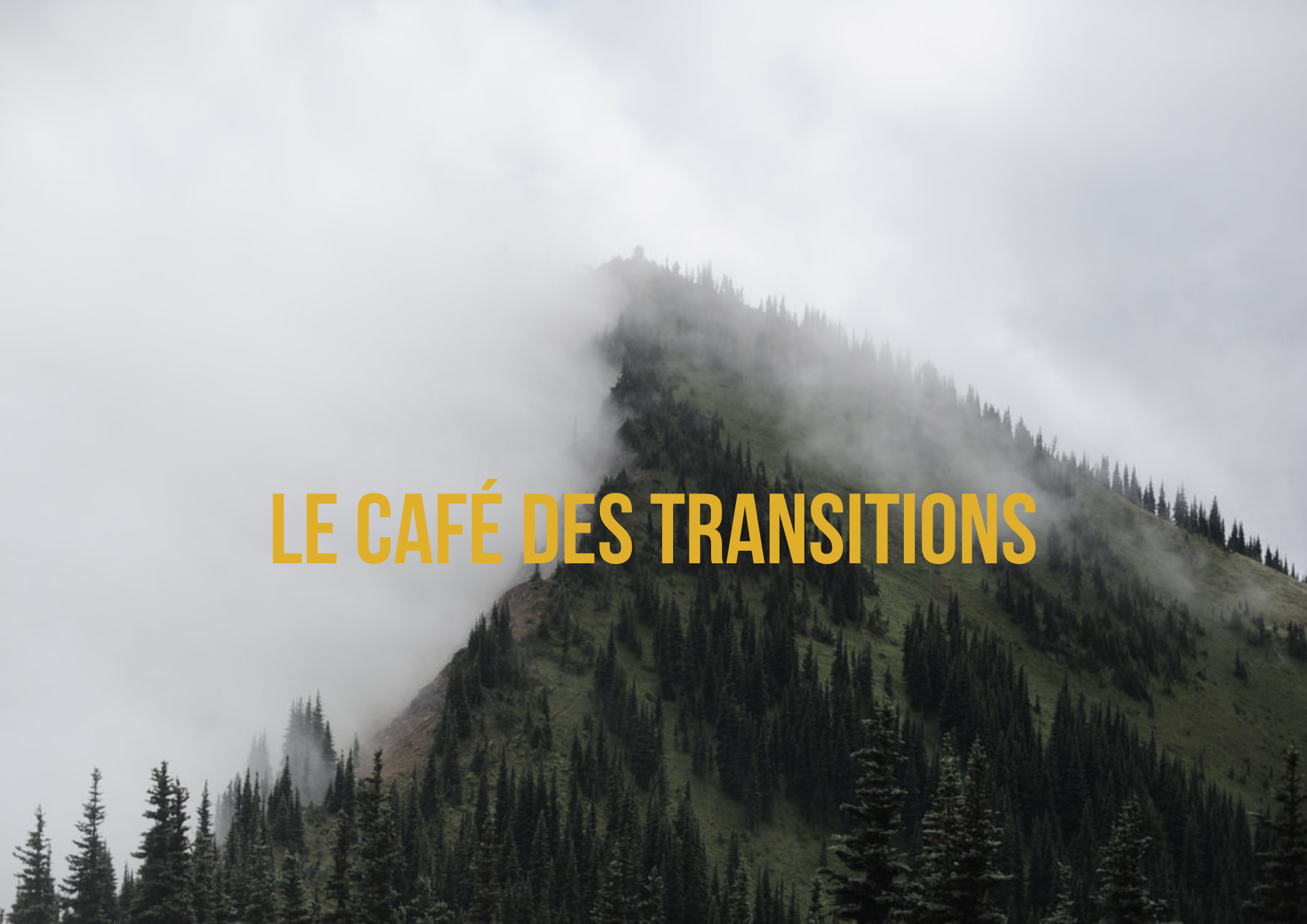 Le café des transitions